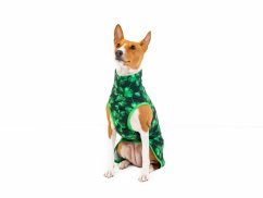 Basenji lehká mikina LUCKY