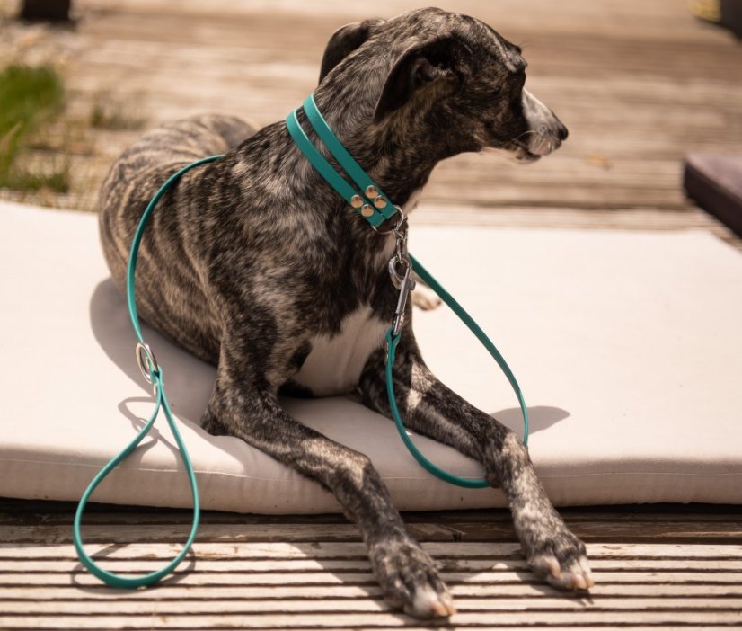 Obojek BioThane® se stahovacím řetízkem a vodítkem