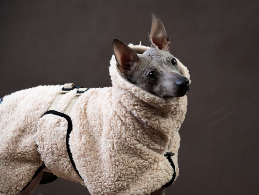 SHERPA TAIL-UP COAT – beránková bunda pro psy s ocáskem nahoru