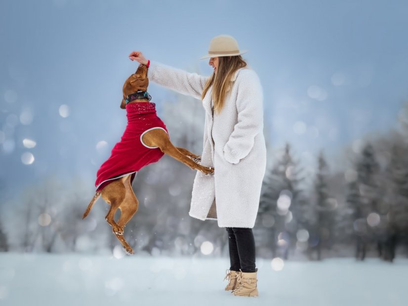 Svetr pro psa warmkeeper