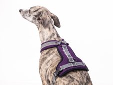 Ultra light dog harness with maximum control