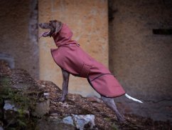 Raincoat dogwear SOFT MUSHING