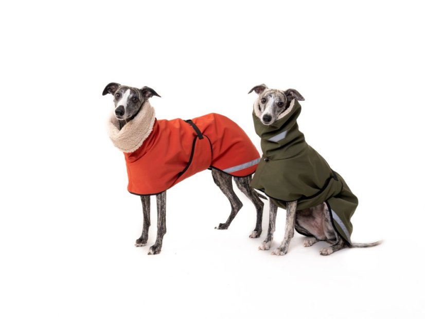 TerraLuxe Softshell Winter – zimní bunda s béžovým beránkem pro psy