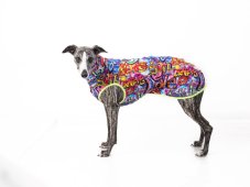 STREET ART – Lightweight Dog Sweatshirt