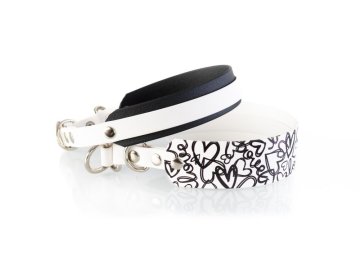 Biothane® Gear for Dogs