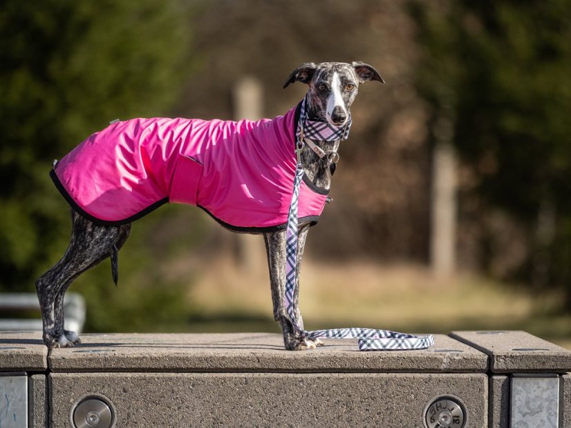 Outdoor Ziya waterproof jacket lined with lamb