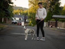 MAGIC SWITCH LEASH – přepínací vodítko pro psy