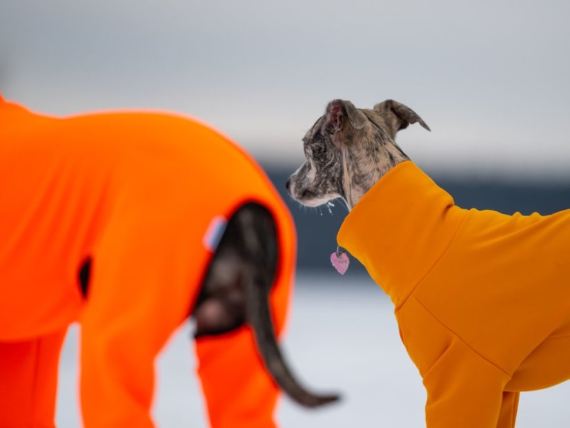 ThermoFlex | sportovní funkční overal pro psy s ocáskem nahoru