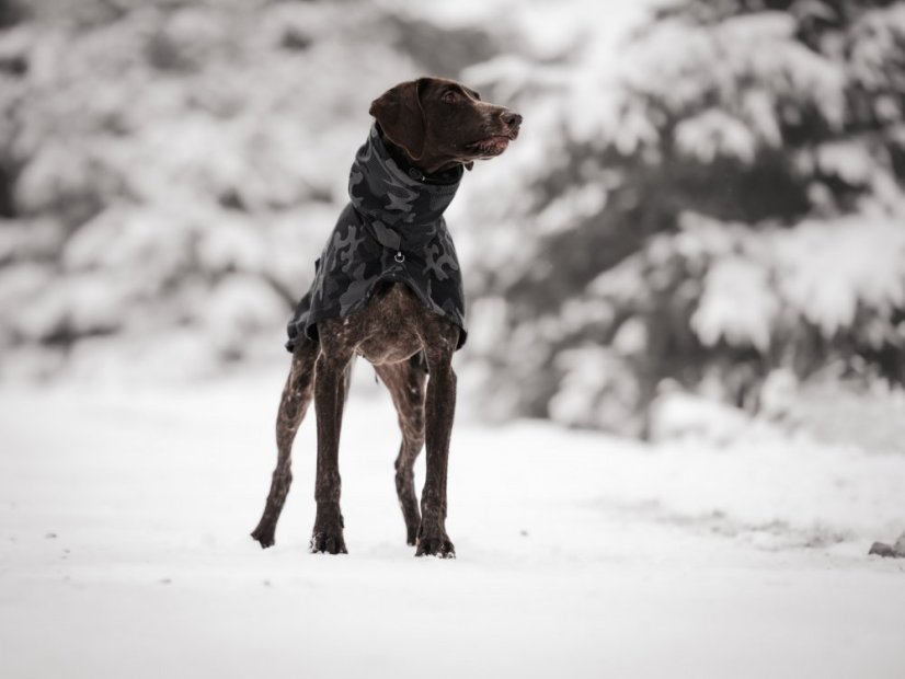 Termobunda - LUMI, vel. L1