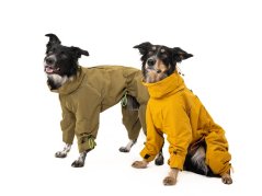 TeryRain AllDay Overall – universal rain overall for dogs