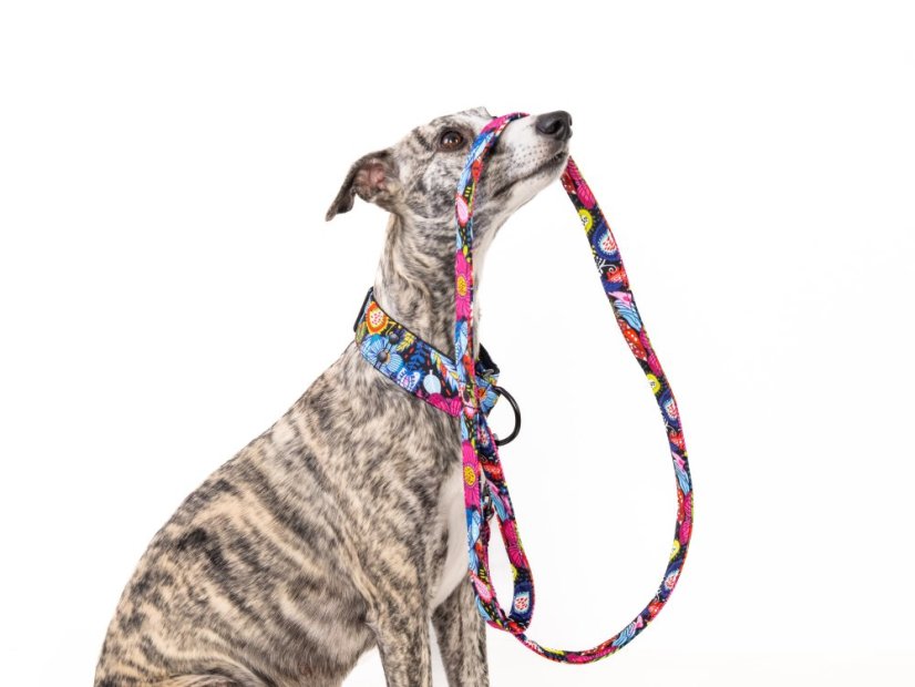 BLOOM COMFORT – designový polostahovací obojek pro psy