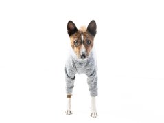 Neoprene Suit for Tail-Up Dogs – MAXIMUM Protection and Comfort