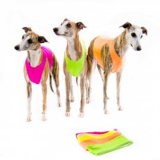 Tréningové tričko color jumper