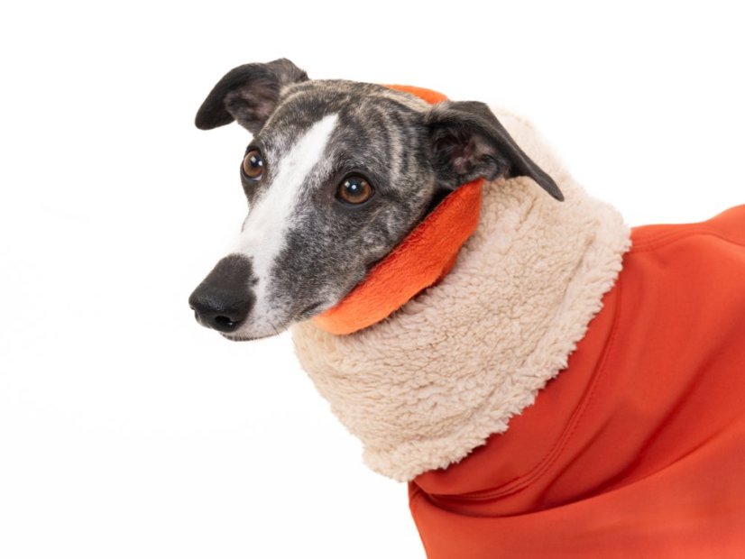 TerraLuxe Softshell Winter – zimní bunda s béžovým beránkem pro psy