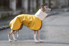 MOET Softshell bunda s beránkem