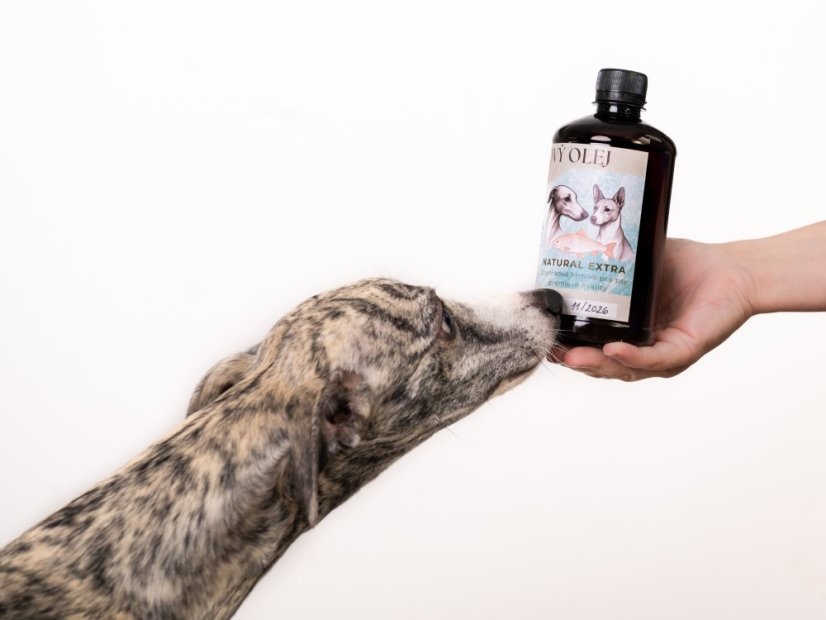 ZARYA Lososový olej 100% NATURAL, 500ml