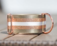 Collar with gold reflective strap