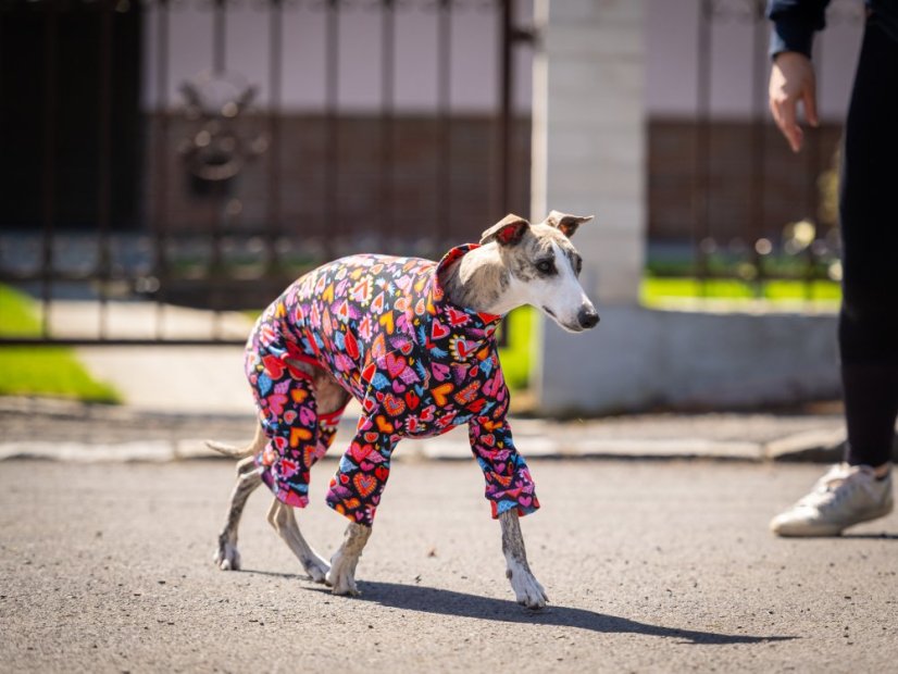 HEART ATTACK SUIT - overal pro psy