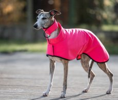 Lehký přehoz pro psí sportovce