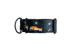 Collar made of waterproof fabric greyhound