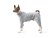 Neoprene Suit for Tail-Up Dogs – MAXIMUM Protection and Comfort
