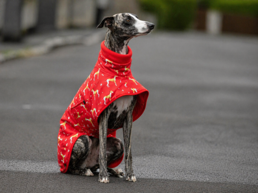 RainStopper Cordura RED – odolná nepromokavá pláštěnka pro psy