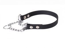 BioThane® collar with pull chain and lead
