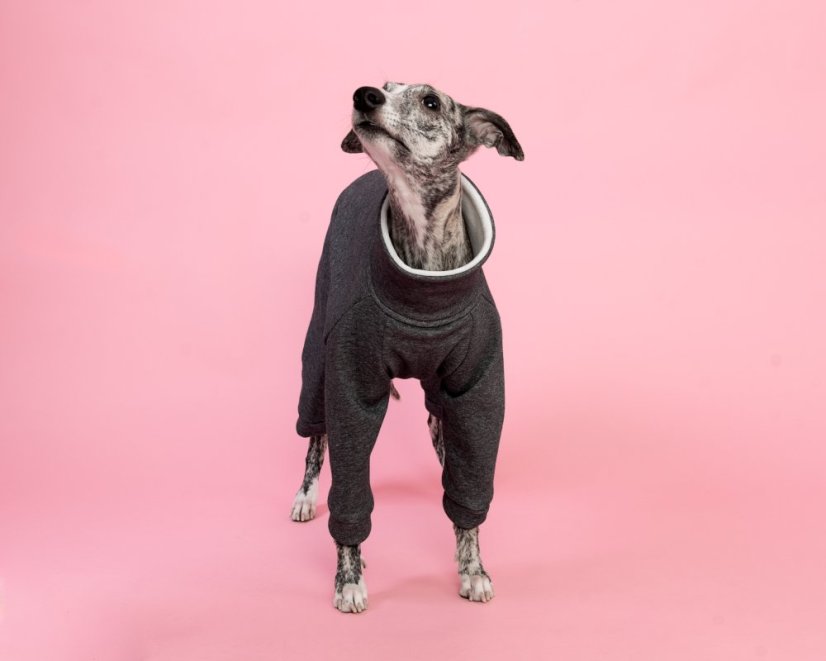 UrbanWarm ZARYA – zateplený overal pro psy z teplákoviny s kožíškem