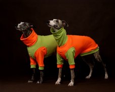 DUO ThermoFlex | športová mikina pre psov