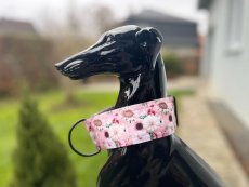 Obojek polostahovací KVĚTINY 5cm