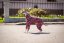 HEART ATTACK SUIT - overal pro psy