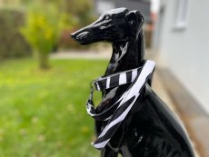Obojek s vodítkem ZEBRA