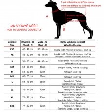 Active Fit mikina z pružné teplákoviny – ideální na vrstvení