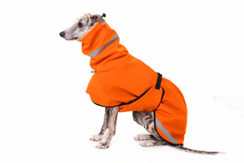 TerraLuxe Softshell Winter – zimní bunda s béžovým beránkem pro psy