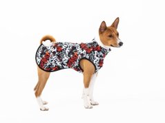 Rebel Style Sweatshirt for Tail-Up Dogs