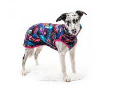 Hoodie for dogs COLORIT