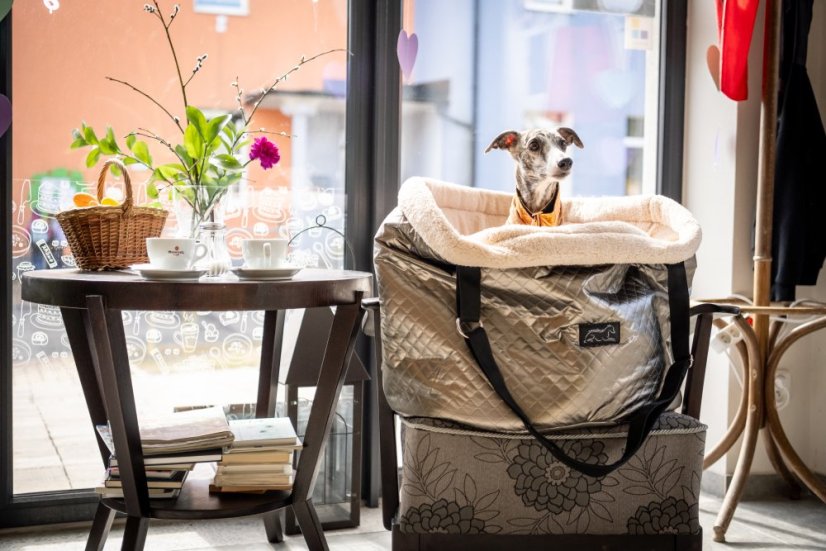 Cestovní taška pro psy – Chrom Edition