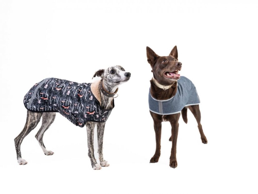 Prehoz pre psov CORDURA® s flísovou podšívkou