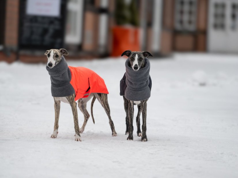 Performance Shell Dog Jacket – funkční bunda s hřejivým fleecem pro psy