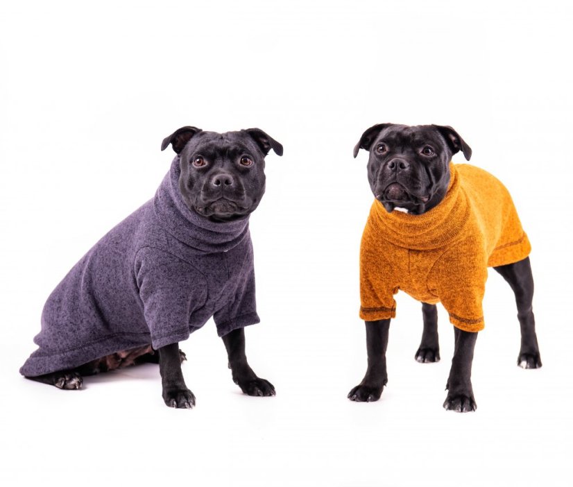Wanted long sweater for the dog