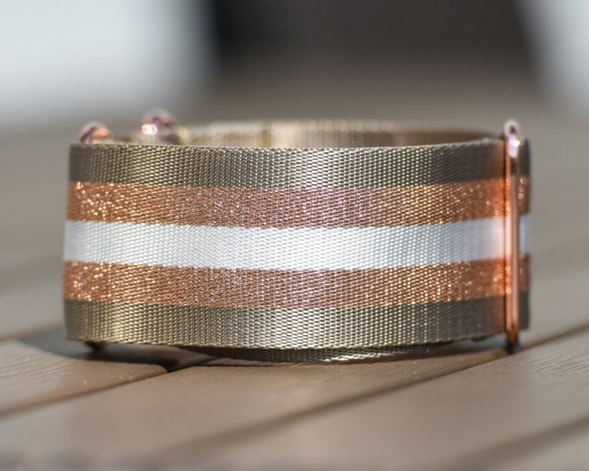 Collar with gold reflective strap