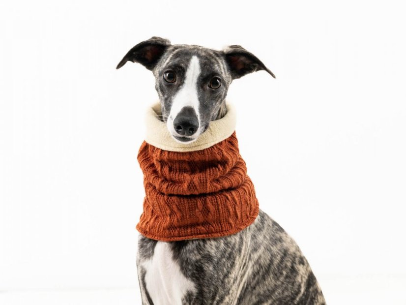 Scarf for dogs with fleece