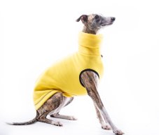 Warm polar fleece sweatshirt for dogs