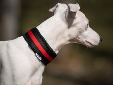 Obojek polostahovací podšítý měkkou textilií BLACK