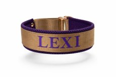 Personalizovaný luxusný polostahovací obojok - COMFORT 3D GOLD