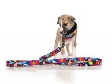 BLOOM COMFORT – designový polostahovací obojek pro psy