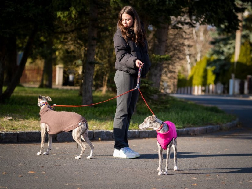 MAGIC DUO LEASH – multifunkční dvojvodítko pro psy