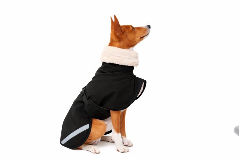 SoftShell Luxe – zimní hřejivá bunda pro psy s ocáskem nahoru