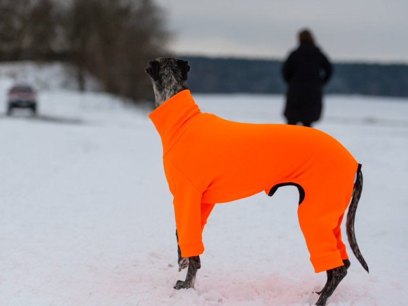 ZARYA ThermoFlex | sportovní funkční overal pro psy