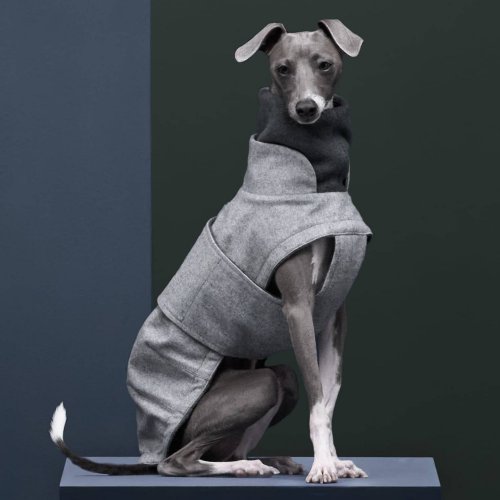 Cloud7 Italian Greyhound Coat Brooklyn Flannel Grey